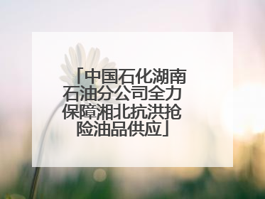 中国石化湖南石油分公司全力保障湘北抗洪抢险油品供应