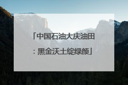 中国石油大庆油田：黑金沃土绽绿颜