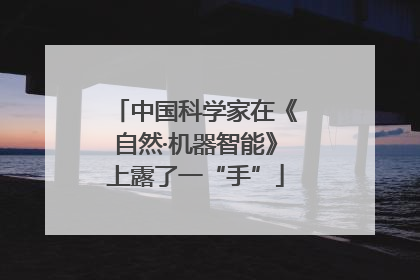 中国科学家在《自然·机器智能》上露了一“手”
