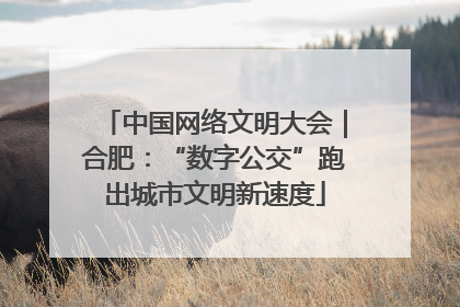 中国网络文明大会｜合肥：“数字公交”跑出城市文明新速度