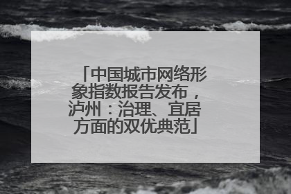 中国城市网络形象指数报告发布，泸州：治理、宜居方面的双优典范