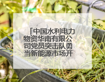 中国水利电力物资华南有限公司党员突击队勇当新能源市场开拓排头兵