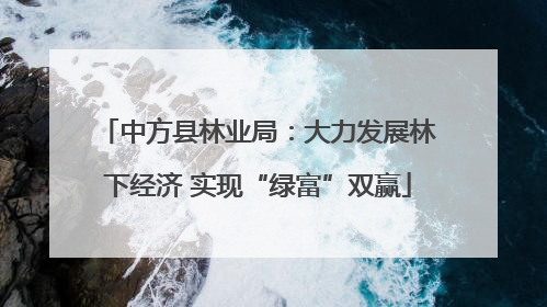 中方县林业局：大力发展林下经济 实现“绿富”双赢