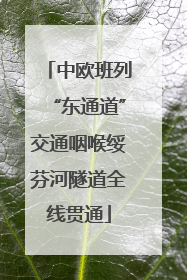 中欧班列“东通道”交通咽喉绥芬河隧道全线贯通