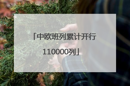 中欧班列累计开行110000列