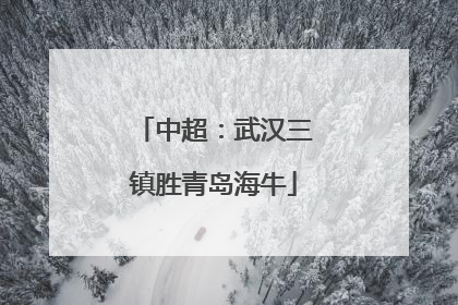 中超：武汉三镇胜青岛海牛