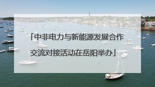 中非电力与新能源发展合作交流对接活动在岳阳举办