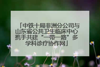 中铁十局非洲分公司与山东省公共卫生临床中心携手共建“一带一路”多学科诊疗协作网