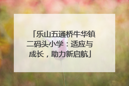 乐山五通桥牛华镇二码头小学：适应与成长，助力新启航