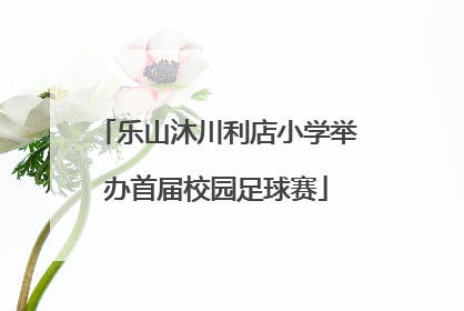 乐山沐川利店小学举办首届校园足球赛