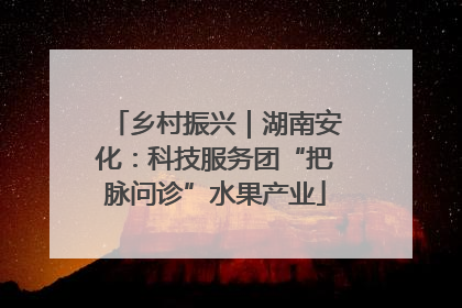 乡村振兴｜湖南安化：科技服务团“把脉问诊”水果产业
