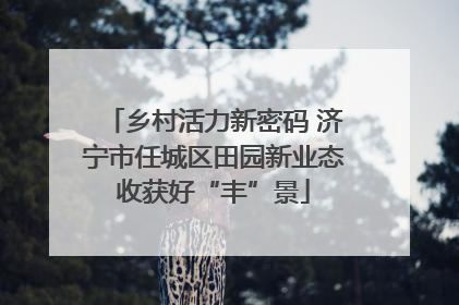 乡村活力新密码 济宁市任城区田园新业态收获好“丰”景