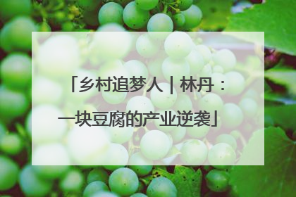 乡村追梦人｜林丹：一块豆腐的产业逆袭