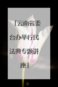 云南省委台办举行民法典专题讲座