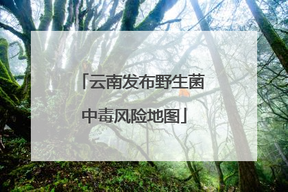 云南发布野生菌中毒风险地图