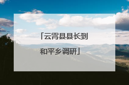 云霄县县长到和平乡调研