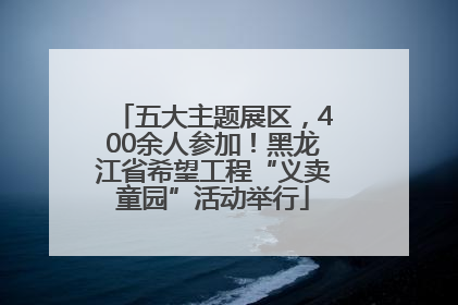 五大主题展区，400余人参加！黑龙江省希望工程“义卖童园”活动举行