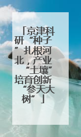 京津科研“种子”扎根河北，产业“土壤”培育创新“参天大树”