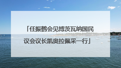 任振鹤会见博茨瓦纳国民议会议长凯奥拉佩采一行