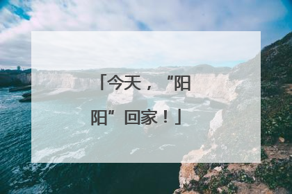 今天，“阳阳”回家！