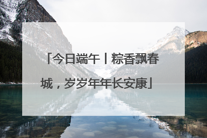 今日端午丨粽香飘春城，岁岁年年长安康