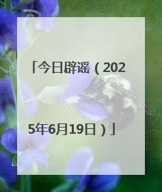 今日辟谣（2025年6月19日）