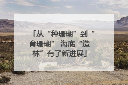 从“种珊瑚”到“育珊瑚” 海底“造林”有了新进展