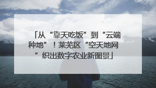 从“靠天吃饭”到“云端种地”！莱芜区“空天地网”织出数字农业新图景