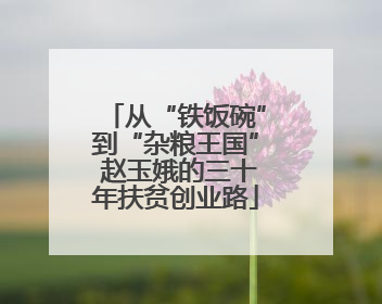 从“铁饭碗”到“杂粮王国” 赵玉娥的三十年扶贫创业路
