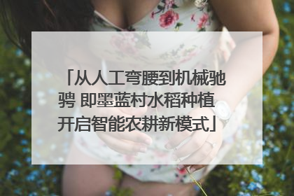 从人工弯腰到机械驰骋 即墨蓝村水稻种植开启智能农耕新模式