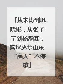 从宋涛到巩晓彬，从张子宇到杨瀚森，篮球逐梦山东“高人”不停歇
