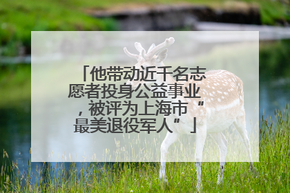 他带动近千名志愿者投身公益事业，被评为上海市“最美退役军人”
