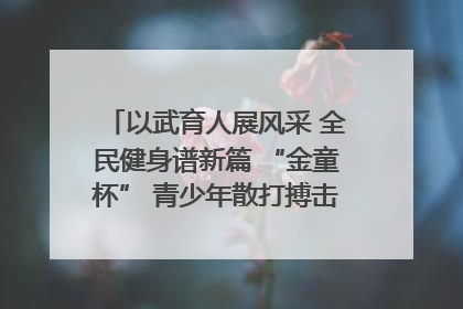 以武育人展风采 全民健身谱新篇 “金童杯” 青少年散打搏击邀请赛圆满落幕