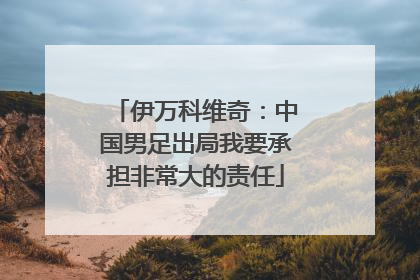 伊万科维奇：中国男足出局我要承担非常大的责任
