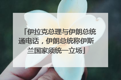 伊拉克总理与伊朗总统通电话，伊朗总统称伊斯兰国家须统一立场