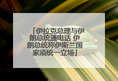 伊拉克总理与伊朗总统通电话 伊朗总统称伊斯兰国家须统一立场