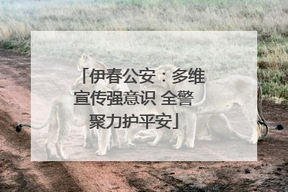 伊春公安：多维宣传强意识 全警聚力护平安