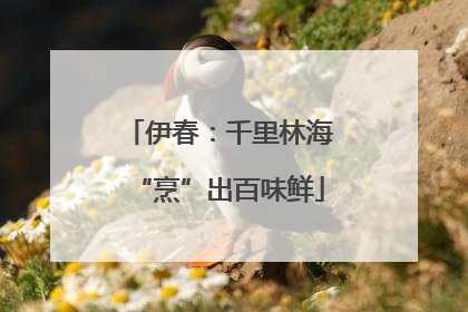 伊春：千里林海“烹”出百味鲜