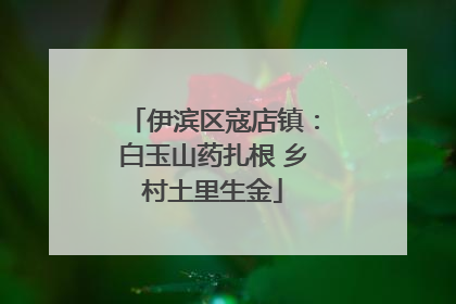 伊滨区寇店镇：白玉山药扎根 乡村土里生金