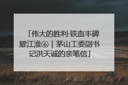 伟大的胜利·铁血丰碑耀江淮⑥｜茅山工委副书记洪天诚的亲笔信