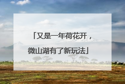 又是一年荷花开，微山湖有了新玩法