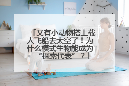 又有小动物搭上载人飞船去太空了！为什么模式生物能成为“探索代表”？