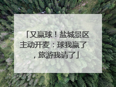 又赢球！盐城景区主动开麦：球我赢了，旅游我请了