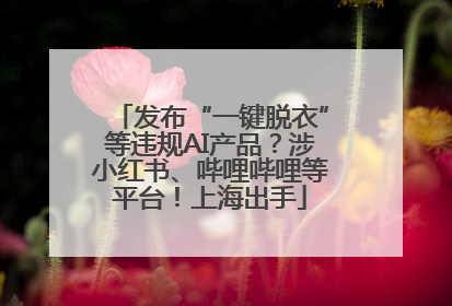 发布“一键脱衣”等违规AI产品？涉小红书、哔哩哔哩等平台！上海出手