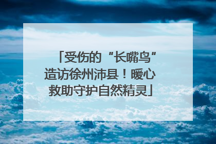 受伤的“长嘴鸟”造访徐州沛县！暖心救助守护自然精灵