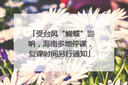 受台风“蝴蝶”影响，海南多地停课，复课时间另行通知