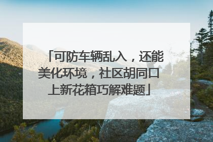 可防车辆乱入，还能美化环境，社区胡同口上新花箱巧解难题
