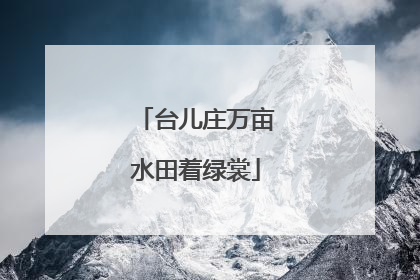 台儿庄万亩水田着绿裳