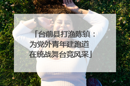 台前县打渔陈镇：为党外青年建跑道 在统战舞台竞风采