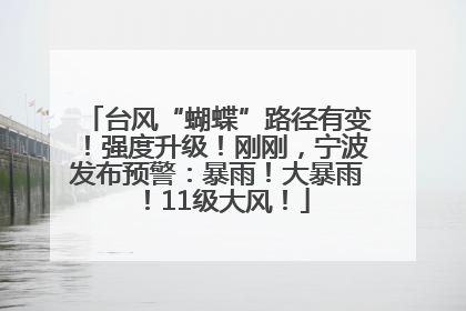 台风“蝴蝶”路径有变！强度升级！刚刚，宁波发布预警：暴雨！大暴雨！11级大风！